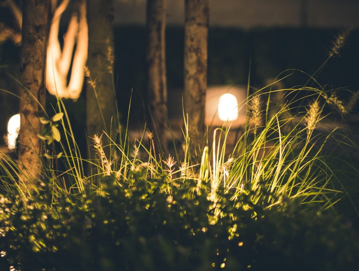 How to beautify your Garden with Lights